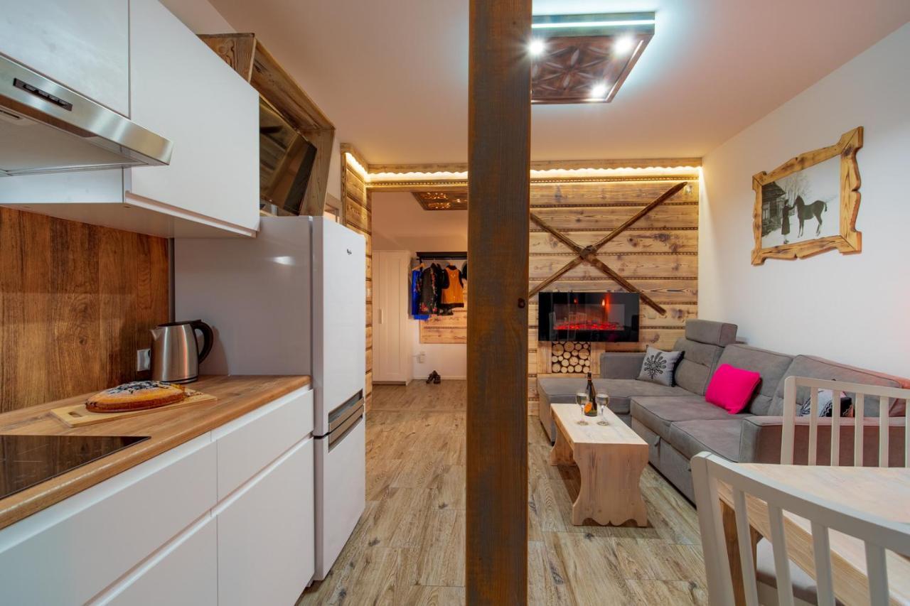 Apartamenty U Gasienicow Ζακοπάνε Εξωτερικό φωτογραφία
