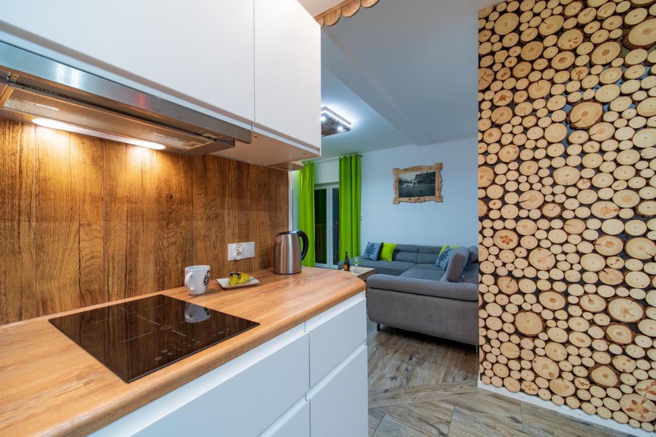 Apartamenty U Gasienicow Ζακοπάνε Εξωτερικό φωτογραφία